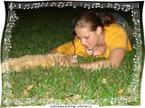 Pet`s World - el e motanul... seamana cu Garfield - Diverse