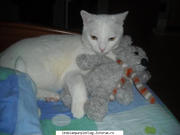 Pet`s World - D sa ma mai laud si eu nitel cu my pet:D E mereu - Diverse