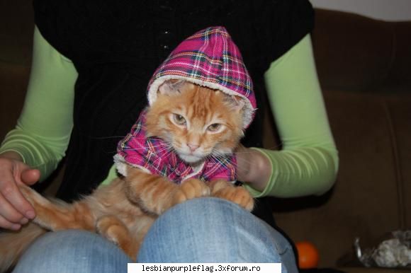 Pet`s World - sweetnot - Diverse
