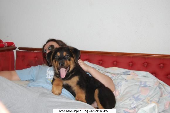:dinti:  :dinti:  :dinti:  :dinti:  :dinti:  :dinti: pet`s world