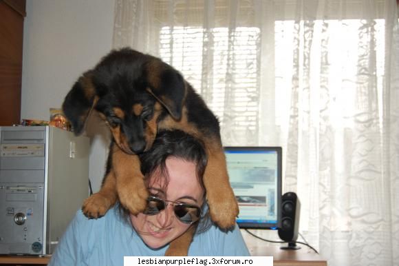 we luv him :d pet`s world